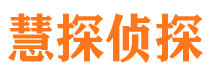 榆树侦探公司